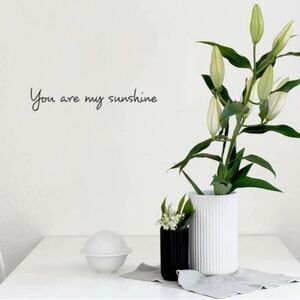 You are my Sunshine Wall Decal